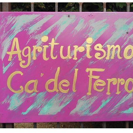 Agriturismo Ca' Del Ferro Zevio エクステリア 写真