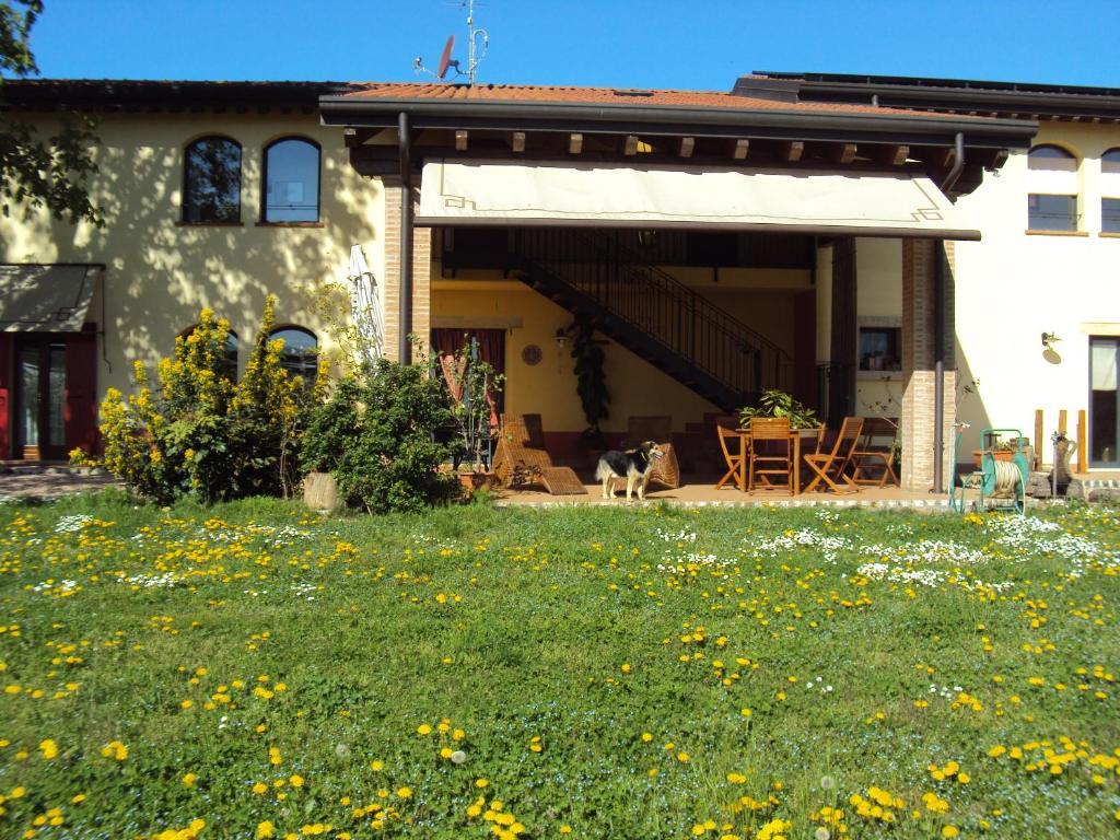 Agriturismo Ca' Del Ferro Zevio エクステリア 写真