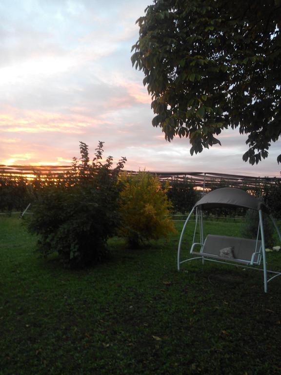 Agriturismo Ca' Del Ferro Zevio エクステリア 写真