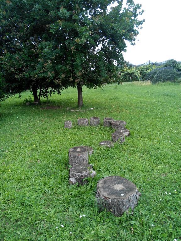 Agriturismo Ca' Del Ferro Zevio エクステリア 写真